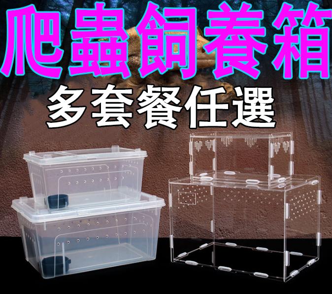 免運超透亞克力【專業爬蟲飼養箱22x11.5x11】甲蟲鍬形蟲兜蟲蜈蚣角蛙蜘蛛青蛙爬箱守宮蜘蛛蟑螂寄居蟹飼養箱爬蟲可參考