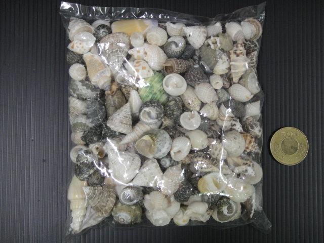 貝殼綜合包300g