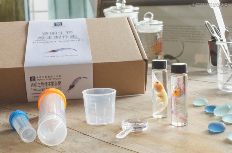 海琉工作室 透明生物標本製作組transparent Specimen Kit 露天拍賣