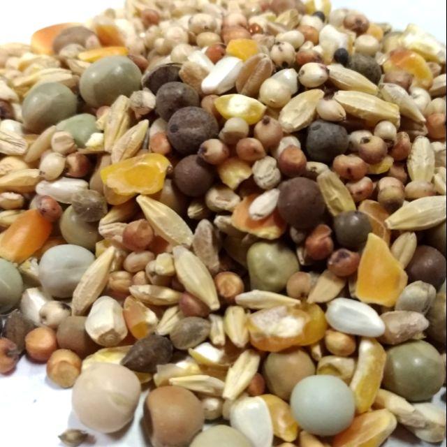 <飼料精選>鴿子飼料1斤29元/綜合雜糧飼料/倉鼠飼料~鴿子,斑鴆,斑鴆,麻雀,鸚鵡等野外鳥類和零嘴