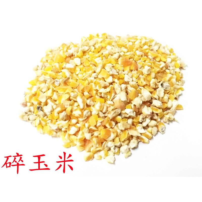 精選進口碎玉米/玉米碎/200克/600克可選/零嘴、主食/鸚鵡、鼠類、雞類、蜜袋鼯/倉鼠飼料/鳥飼料