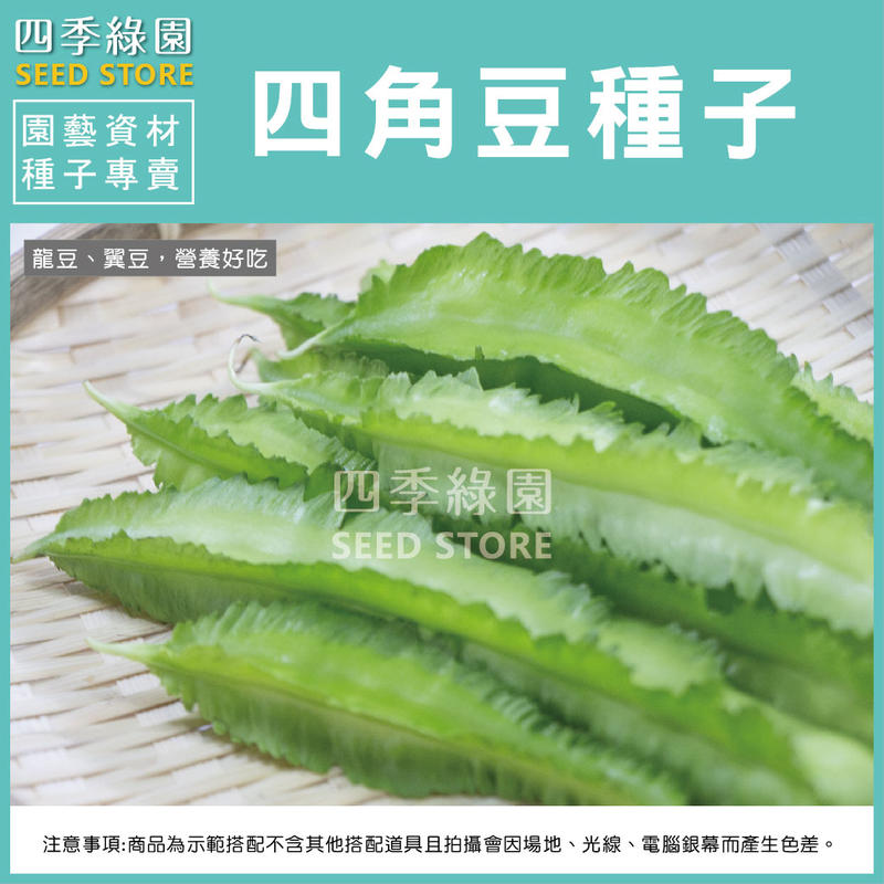 四棱豆 翼豆 楊桃豆 四角豆 香豆 羊角豆 龍豆 翅豆 豆菜 四季綠園 露天拍賣