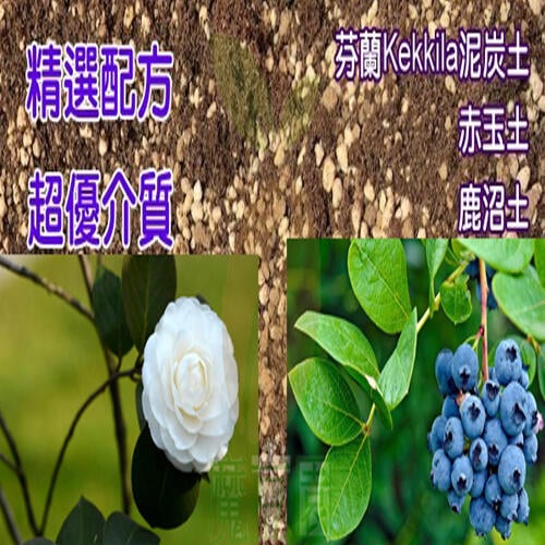 全店限價免運 藍莓茶花杜鵑專用栽培土介質 10公升 成份 芬蘭酸性泥炭土 水洗椰塊 竹炭 發泡煉石 魔豆園 露天拍賣