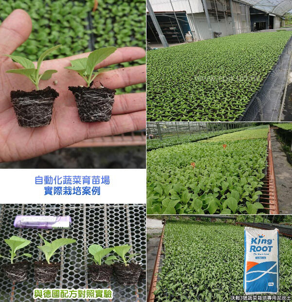 栽培有機蔬菜花卉播種氮栽培育苗專用黑白泥炭土苔70 10公升培養土排水透氣性介質原料 泥炭珍珠石 魔豆園 露天拍賣