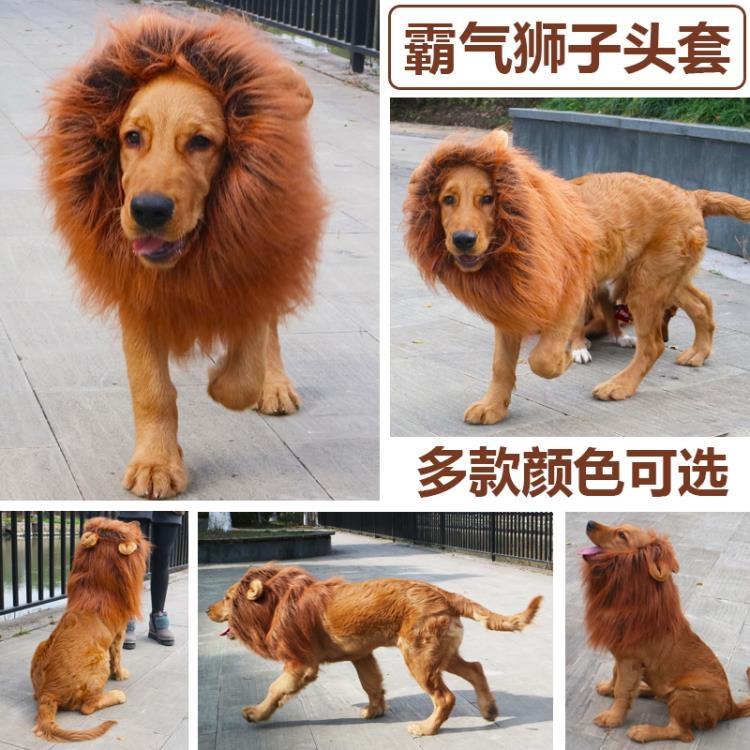 寵物搞笑獅子頭套假發金毛薩摩大型犬帽子頭飾狗狗變身裝獅子頭飾琴家灣 露天拍賣
