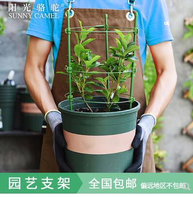 園藝爬藤架子植物花卉花盆支架室內盆栽支柱鐵線蓮月季攀爬架支撐 露天拍賣