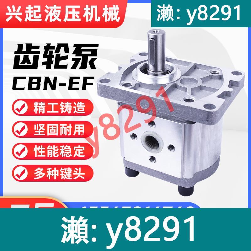 液壓高壓油泵齒輪泵CBN-E304 6 1014F316 E320F325