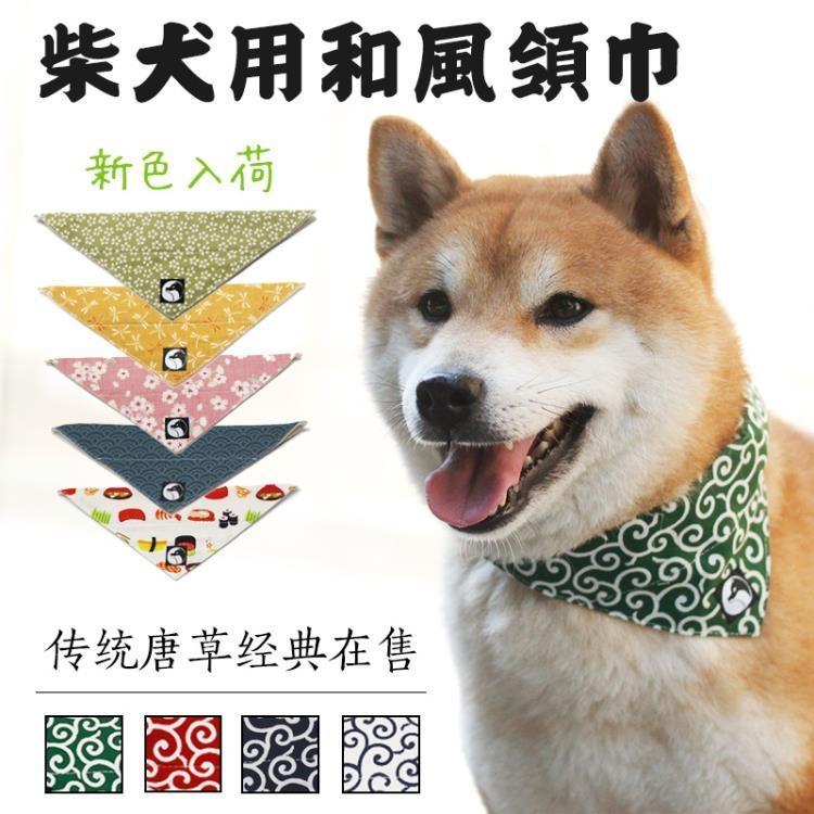 六月小競り合い物思いにふける柴犬唐草 Infocgil Org