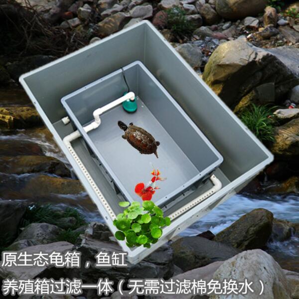 龜箱魚缸過濾一體diy周轉箱原生態沼澤過濾箱龜池魚菜共生養殖箱露天拍賣 露天拍賣