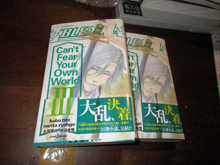 金牌 日版死神官方小說bleach Can T Fear Your Own World 3 露天拍賣