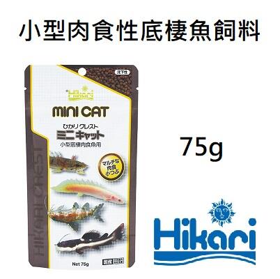 Happy水族 缺日本hikari 高夠力小型肉食性底棲魚飼料75g 沉水性肉食魚魚飼料hk 露天拍賣